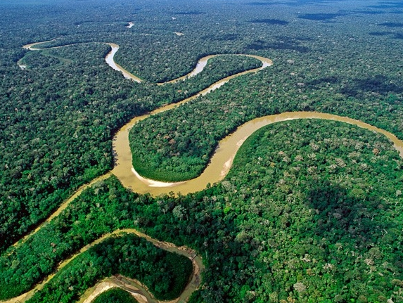 身处亚马逊，热带雨林的世界正在遗忘不改变的人!
